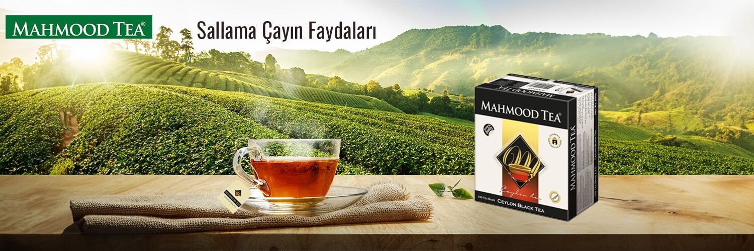 Sallama Çay Nedir, Sallama Çayın Faydaları ve Zararları