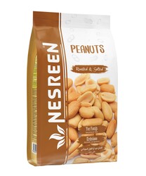 Nesreen Kavrulmuş Yer Fıstığı Tuzlu 170 Gr - Nesreen